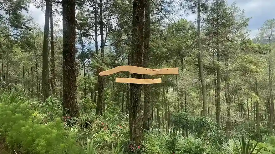 Tempat Camping di Batu Fasilitas Lengkap